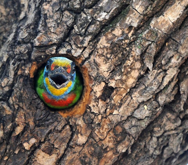 30 снимков месяца)