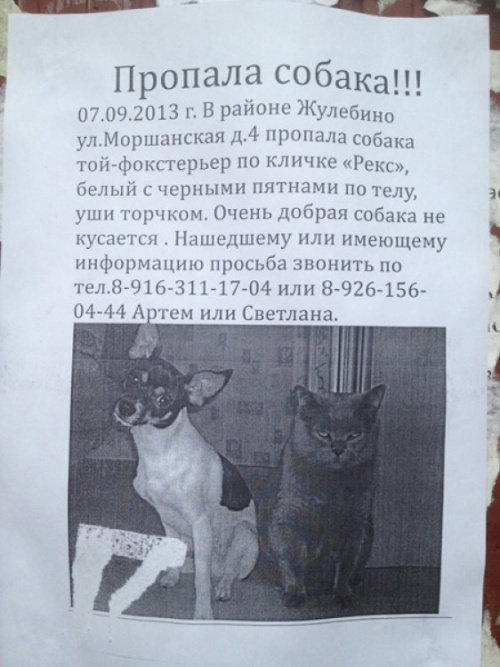 Просто симпатичные картинки))))