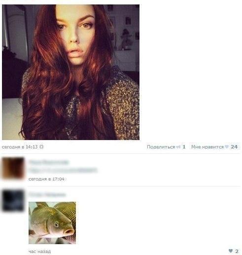 Просто симпатичные картинки))))