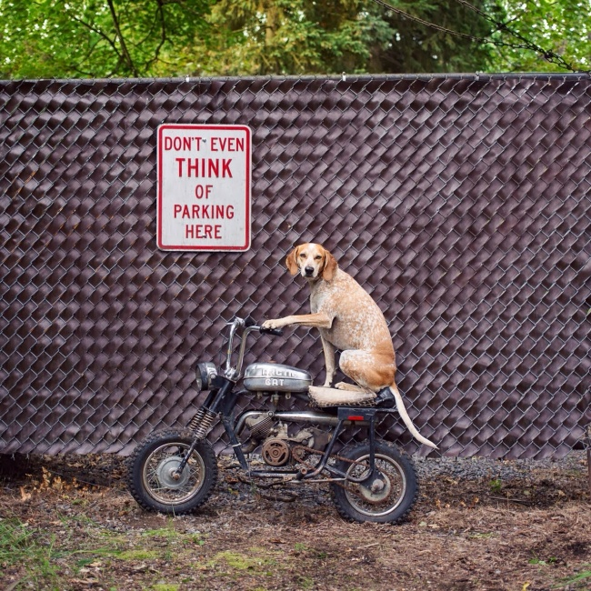 30 снимков месяца)