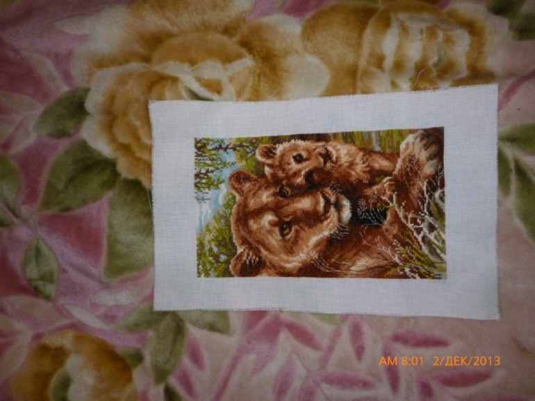 лвица и львенок от риолис