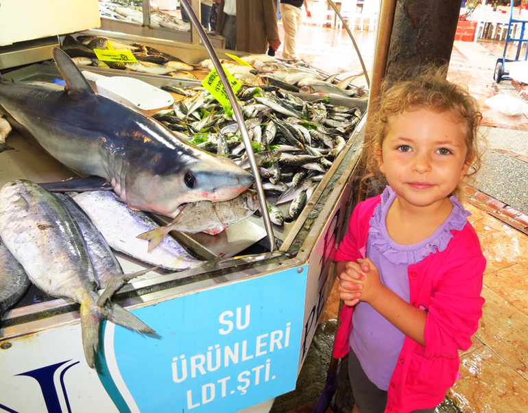 турция фетхие-4. развлечения