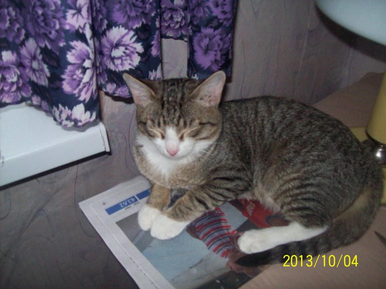 Ой бабушка-бабушка