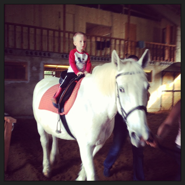 Лошадиный  БУМ