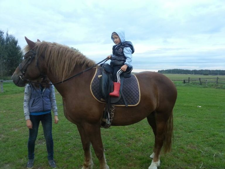 Лошадиный  БУМ