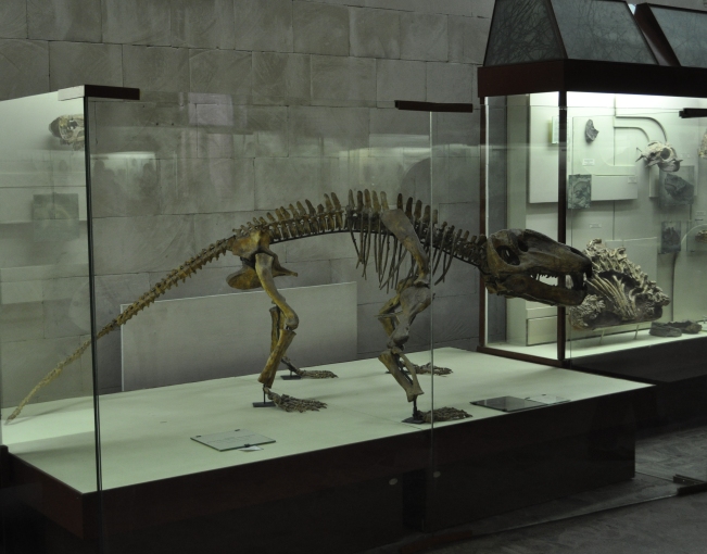 Познакомились с динозаврами