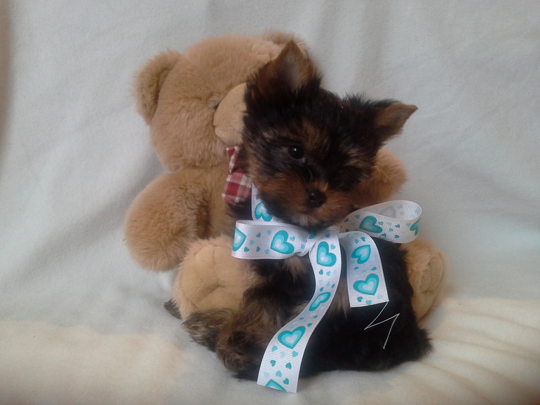 Ну вот мы подросли, скоро начинаем искать мам и пап)))