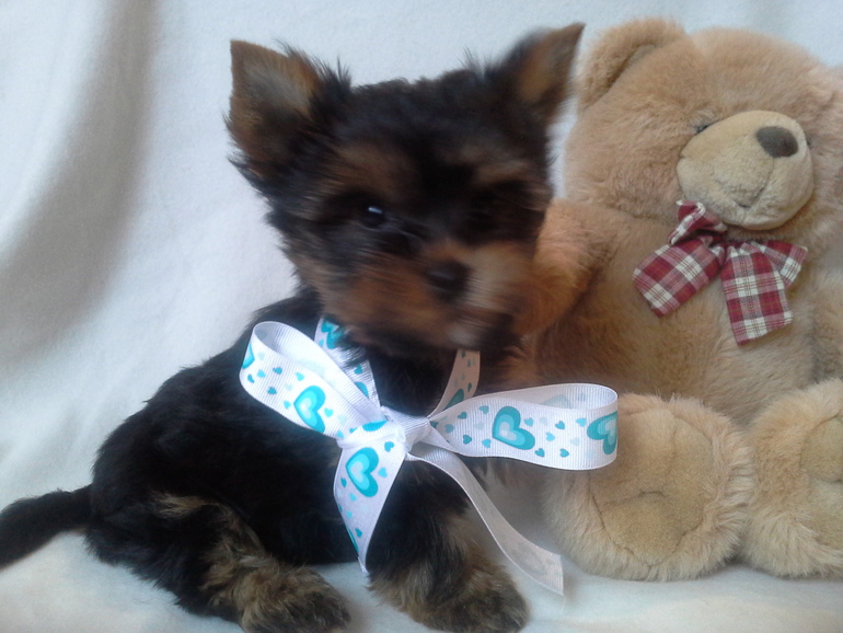 Ну вот мы подросли, скоро начинаем искать мам и пап)))