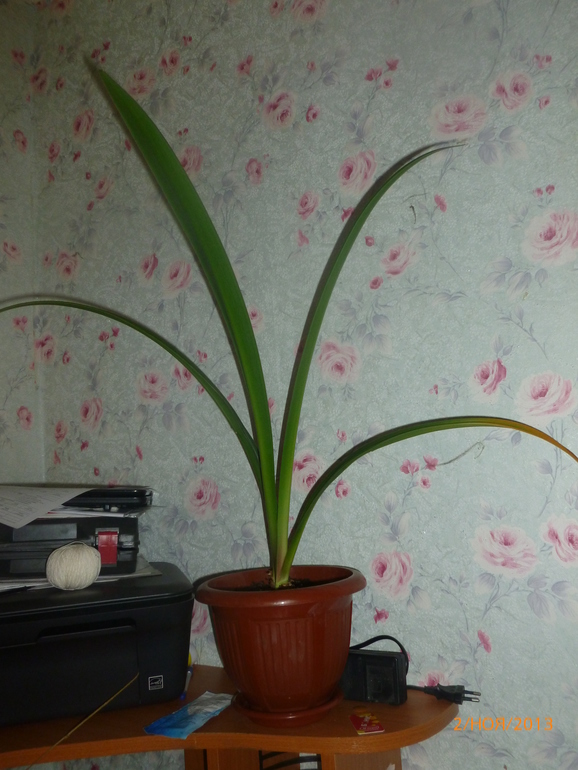 как его зовут?)))