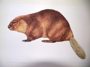 Мини-сказочное погружение)))