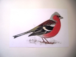 Мини-сказочное погружение)))