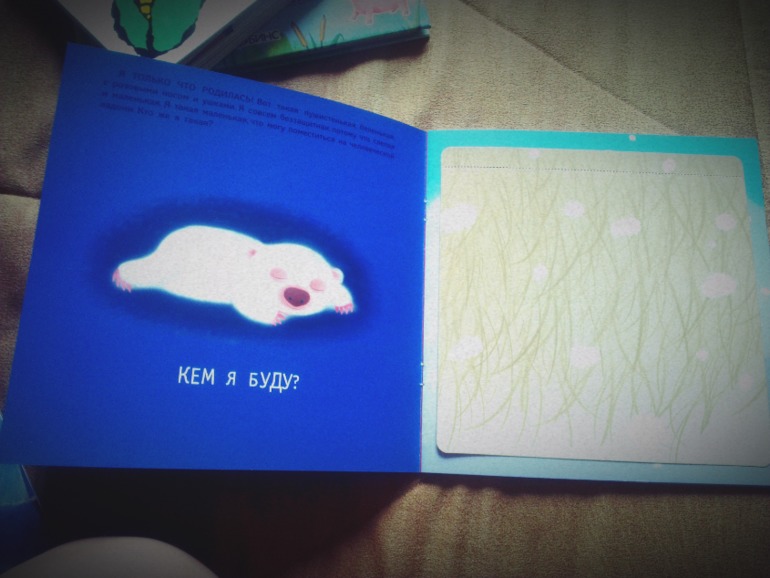 Пополнение библиотеки. Часть2