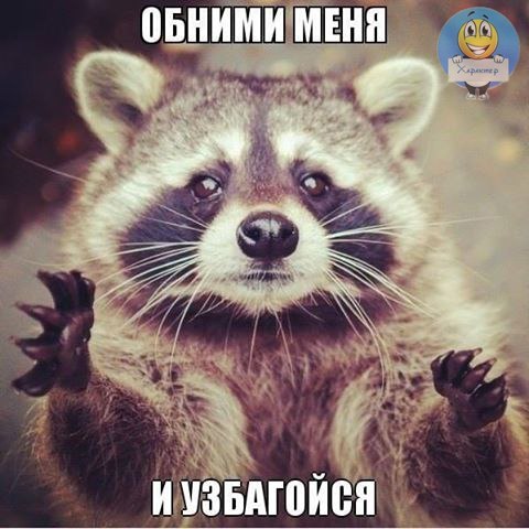 d98e94e4db2c741bc24d739eef15a4c8.jpg