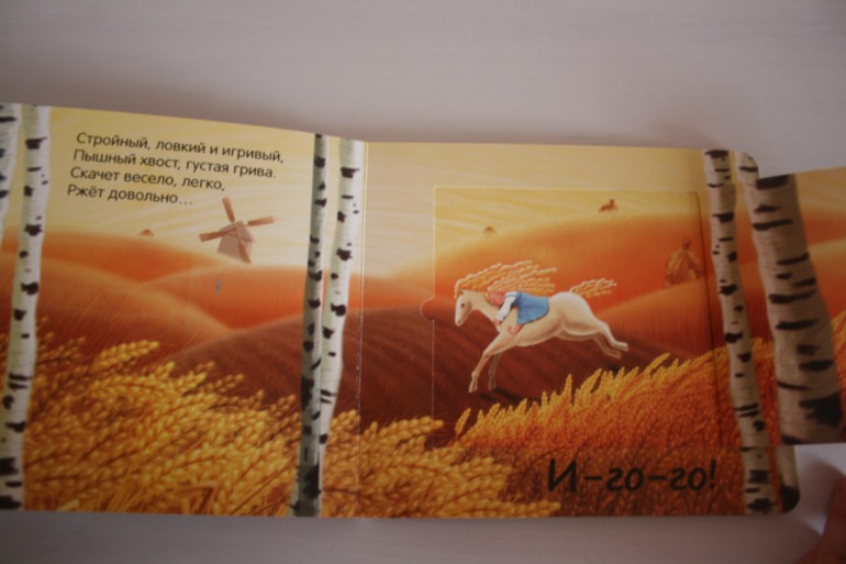 Что мы слышали в лесу и в деревне. Книжки с кармашками.