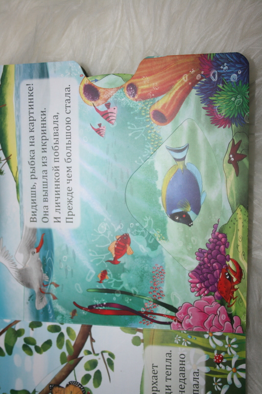 Наше ноябрьское (1,5 г)