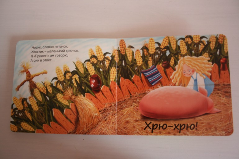 Что мы слышали в лесу и в деревне. Книжки с кармашками.