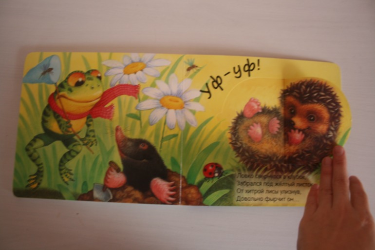 Что мы слышали в лесу и в деревне. Книжки с кармашками.