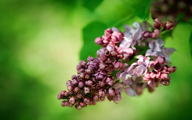 Контрольное задание № 5.