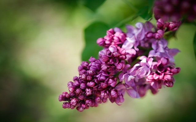 Контрольное задание № 5.