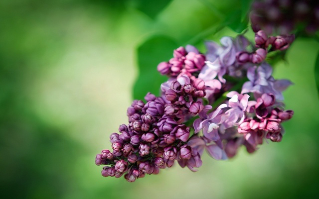 Контрольное задание № 5.