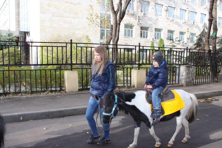 Осенний зоопарк!