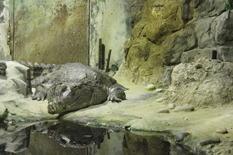 Осенний зоопарк!