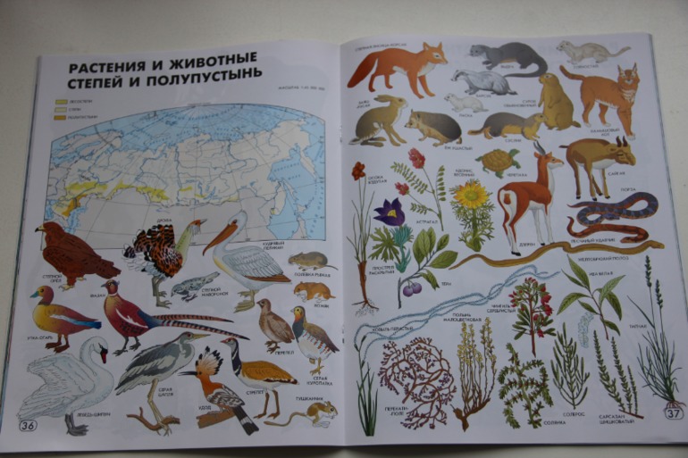 Географический атлас: Мир и Человек