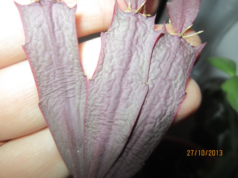 Можно- ли помочь?