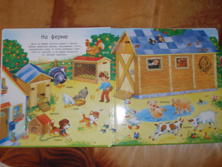 наше книжконе осеннее пополнение (в 1 год и 2-3 месяца)