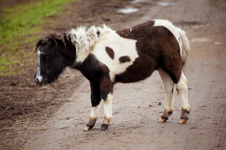 Терапия. Советую всем измотанным ожиданием и холодной осенью.