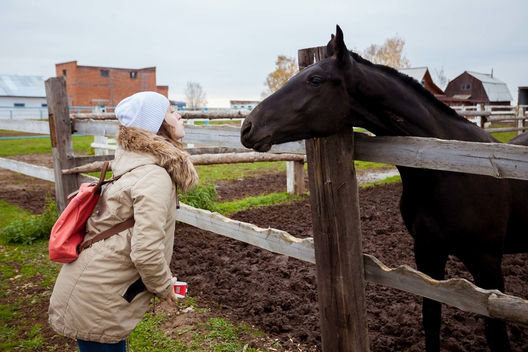 Терапия. Советую всем измотанным ожиданием и холодной осенью.