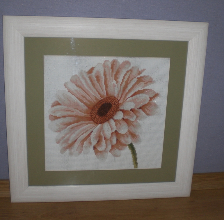 Мой долгожданный