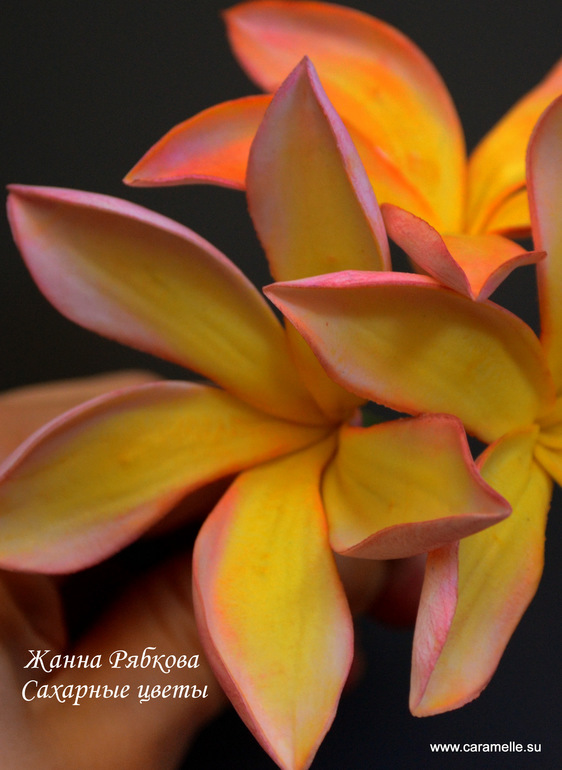 Курсы по Сахарной Флористике )))