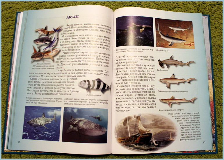 Морская неделя