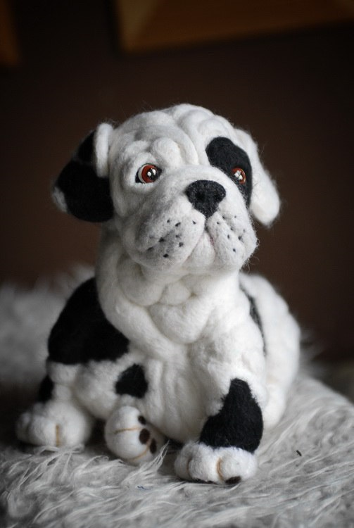 щенок английского бульдога Снежок