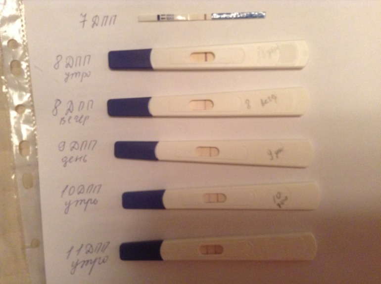 Криоперенос 6 день. Тесты на беременность на 5 ДПП эмбрионов. Тесты на беременность после эко трехдневок. Тест на беременность криопереноса. Тесты после переноса.