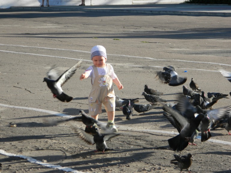 Голосование за лучшую фотографию