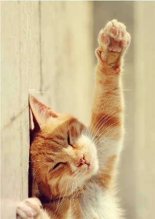 Урок №2 Вырезаем объект