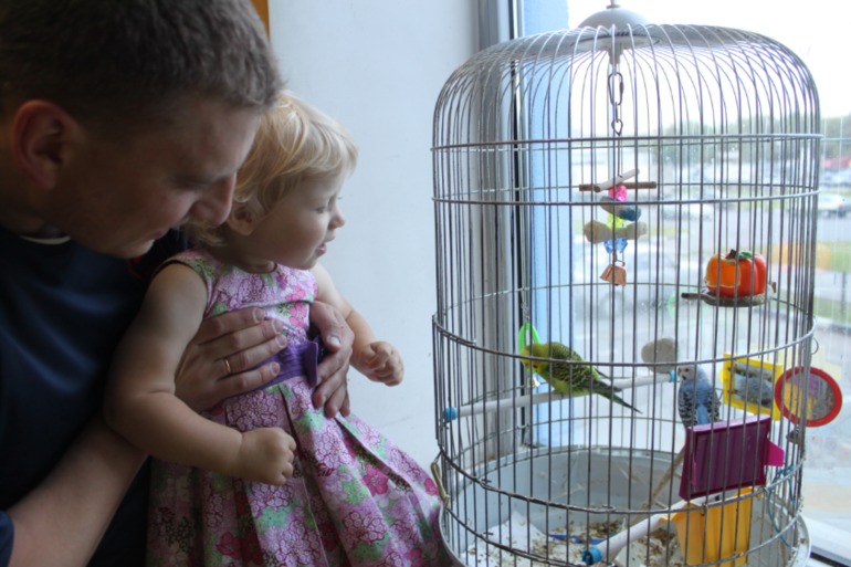 Запоздалый отчет о двухлетии!