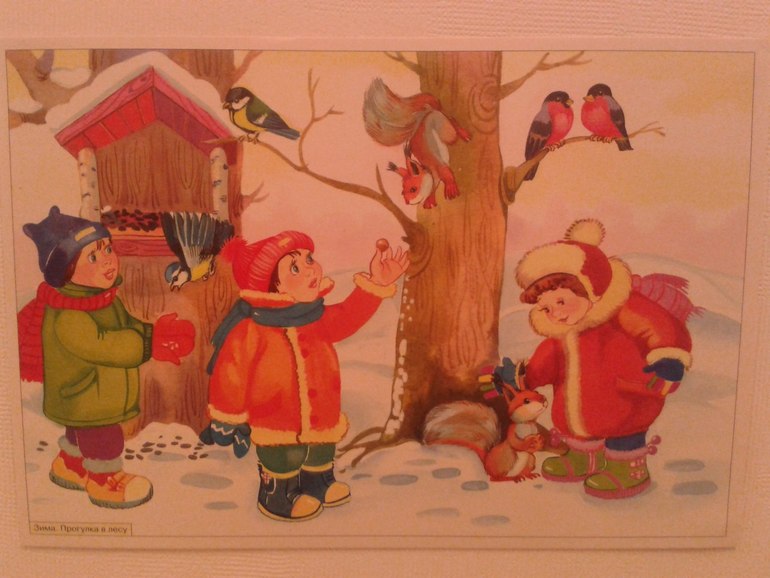 6.12 - Птицы зимой.