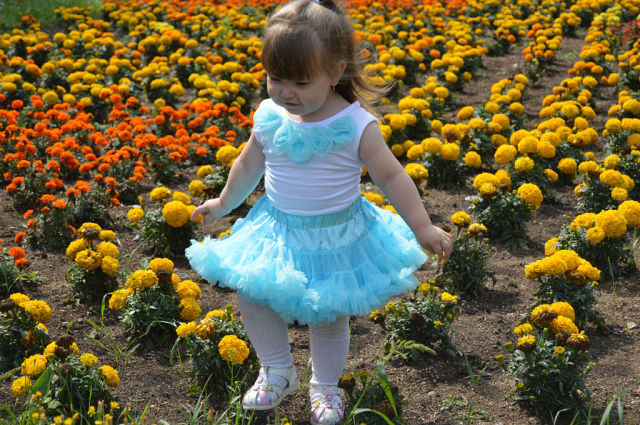 10cad8b8a9ef44a0210d44c519d50493.jpg