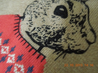 наш маленький хвастик Некст