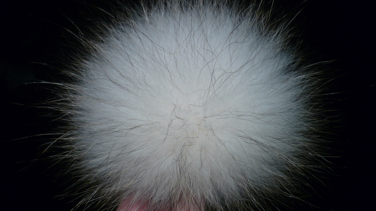 Меховые помпоны на любой вкус! Песец, Енот, Кролик.