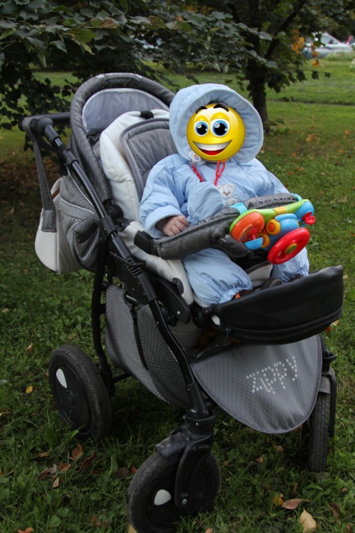 Купили Zippy silver 3 в 1