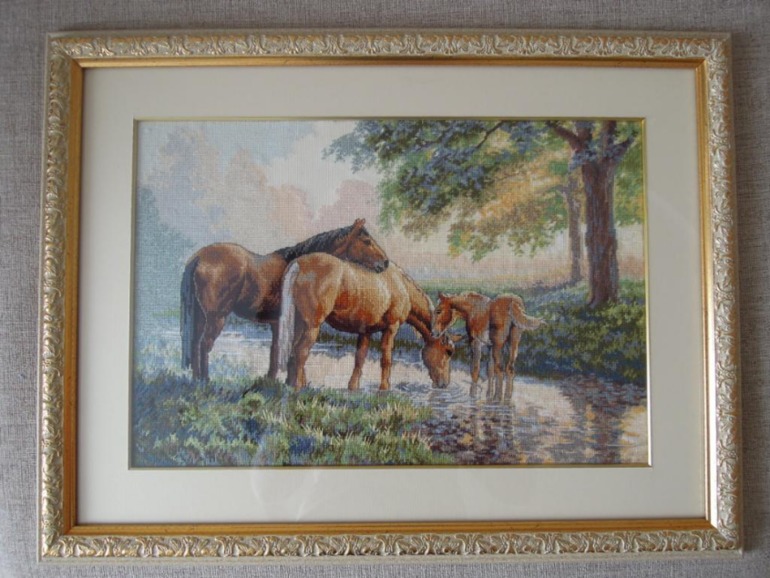 Офомились (много фото)