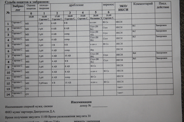 Эмбриологическая карта расшифровка