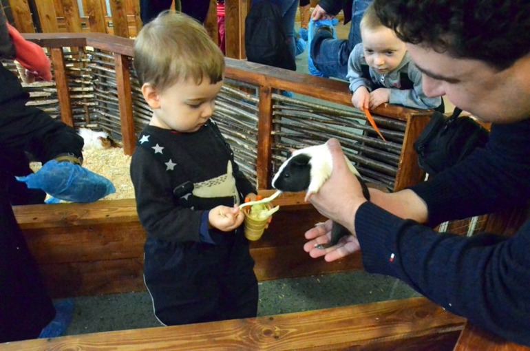 Контактный зоопарк на ВВЦ (много фото)