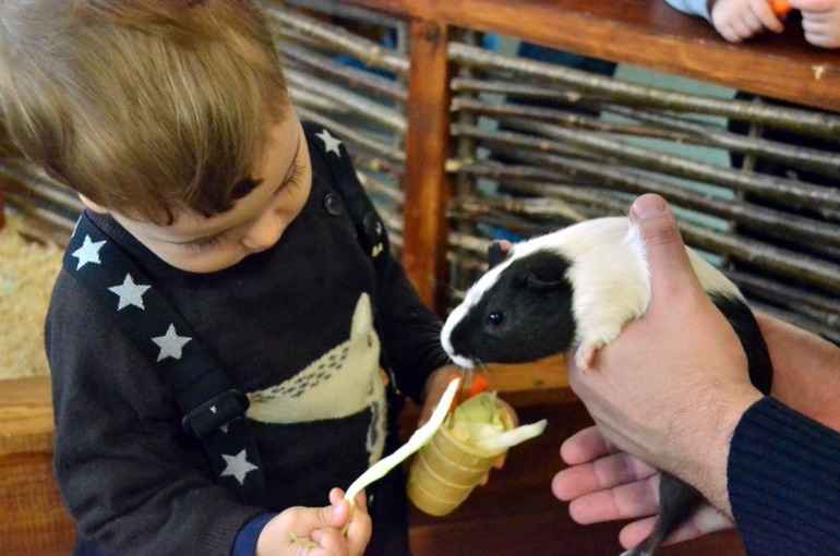 Контактный зоопарк на ВВЦ (много фото)