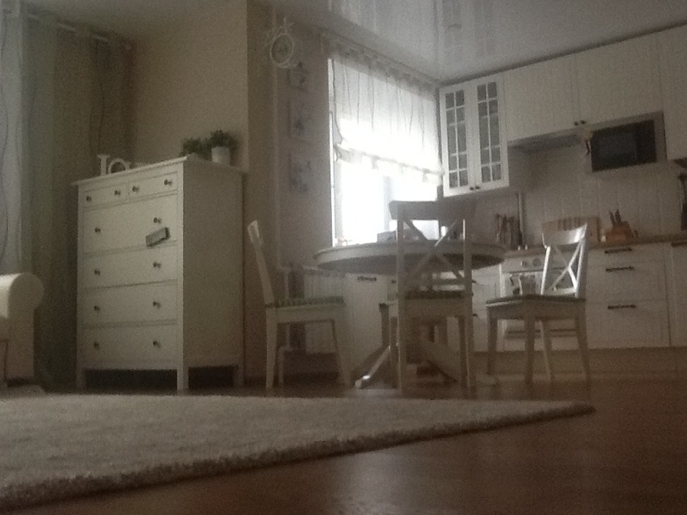 Кухня- гостиная и немного прихожей