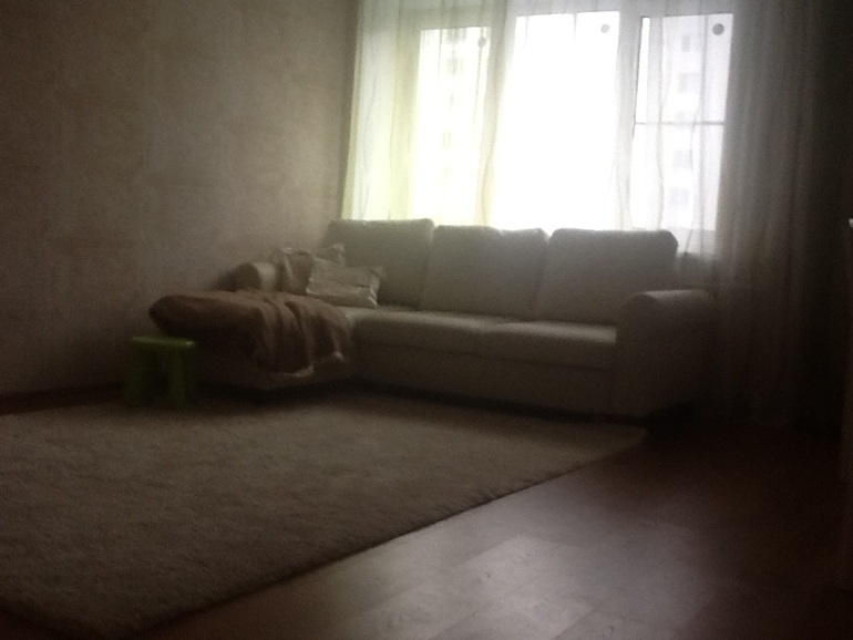 Кухня- гостиная и немного прихожей